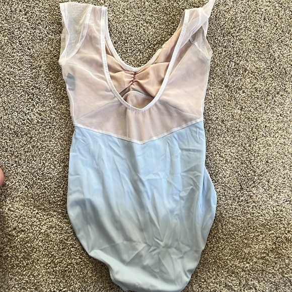 Class In Leotard - Picture 3 of 6